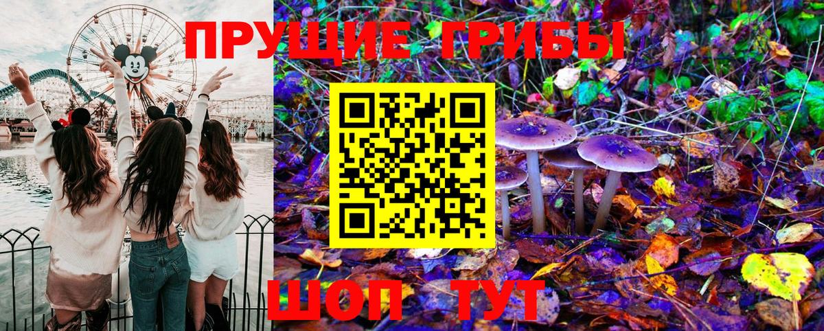 Галлюциногенные грибы Magic Shrooms  хочу наркоту  Ивантеевка  Вход с VPN 