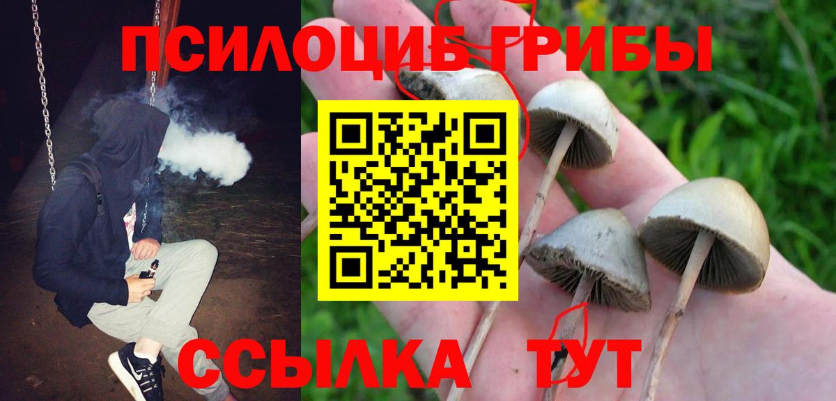 Ивантеевка  Вход с VPN  Метамфетамин  Меф кристаллы  МАРИХУАНА  Гашиш  Конопля  МДМА 